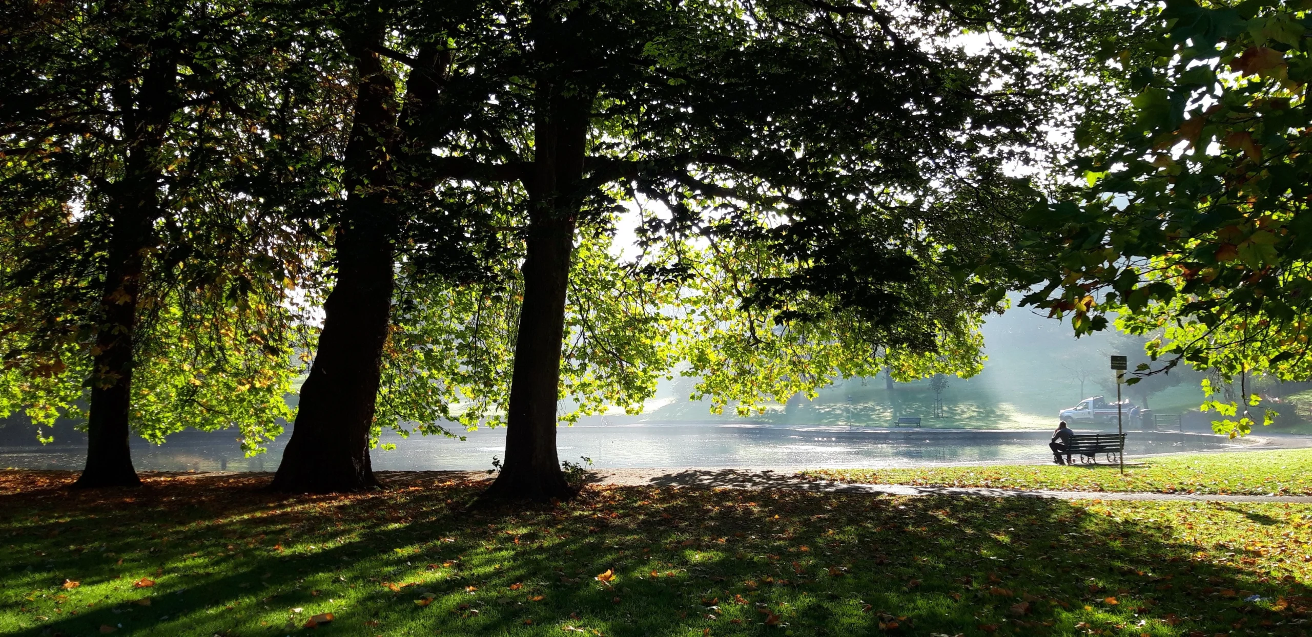 A Breath of Fresh Air: A Walk from Cherry View House to St George Park