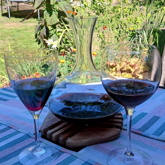 Beyond the Bottom Shelf: Why Mucho Más is the Ultimate “Welcome Home” Wine for Your Bristol Stay